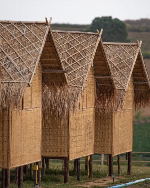 Cambodia Sustainable Materials Adoption: A row of elevated bamboo houses with thatched roofs in a rural setting.